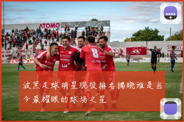 波黑足球明星现役排名揭晓谁是当今最耀眼的球场之星