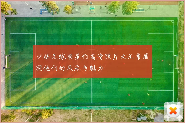 少林足球明星们高清照片大汇集展现他们的风采与魅力