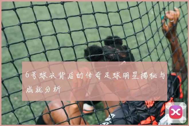 6号球衣背后的传奇足球明星揭秘与成就分析