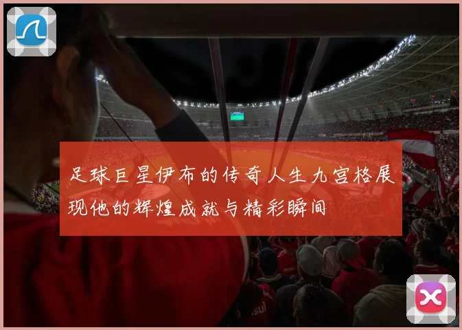 足球巨星伊布的传奇人生九宫格展现他的辉煌成就与精彩瞬间