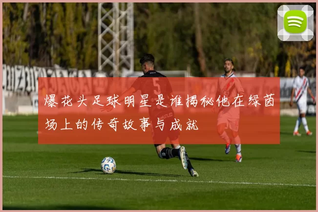 爆花头足球明星是谁揭秘他在绿茵场上的传奇故事与成就