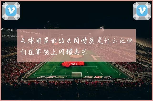 足球明星们的共同特质是什么让他们在赛场上闪耀光芒