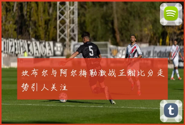 坎布尔与阿尔梅勒激战正酣比分走势引人关注