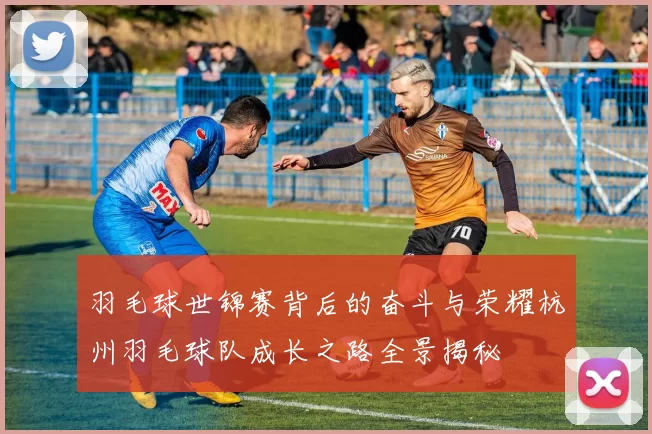 羽毛球世锦赛背后的奋斗与荣耀杭州羽毛球队成长之路全景揭秘