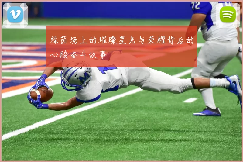 绿茵场上的璀璨星光与荣耀背后的心酸奋斗故事
