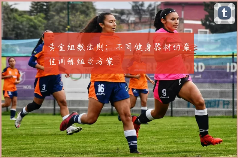 黄金组数法则：不同健身器材的最佳训练组合方案