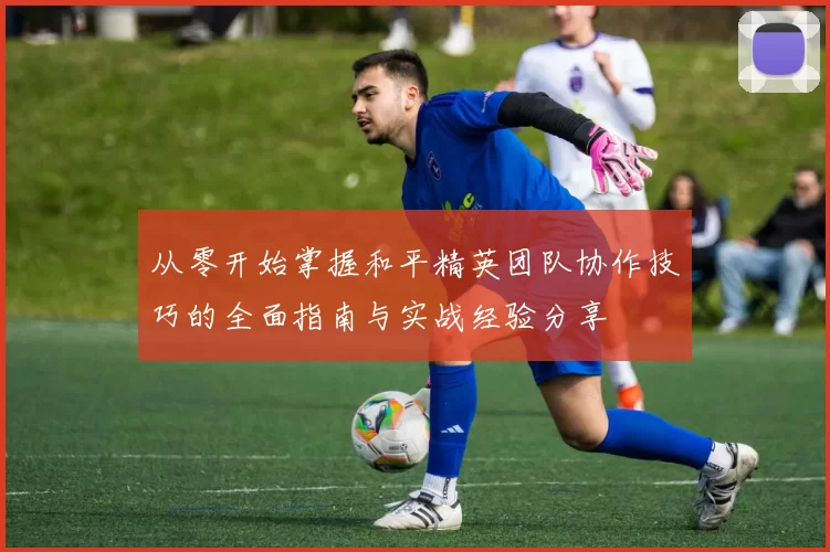 从零开始掌握和平精英团队协作技巧的全面指南与实战经验分享