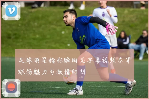 足球明星精彩瞬间无字幕视频尽享球场魅力与激情时刻