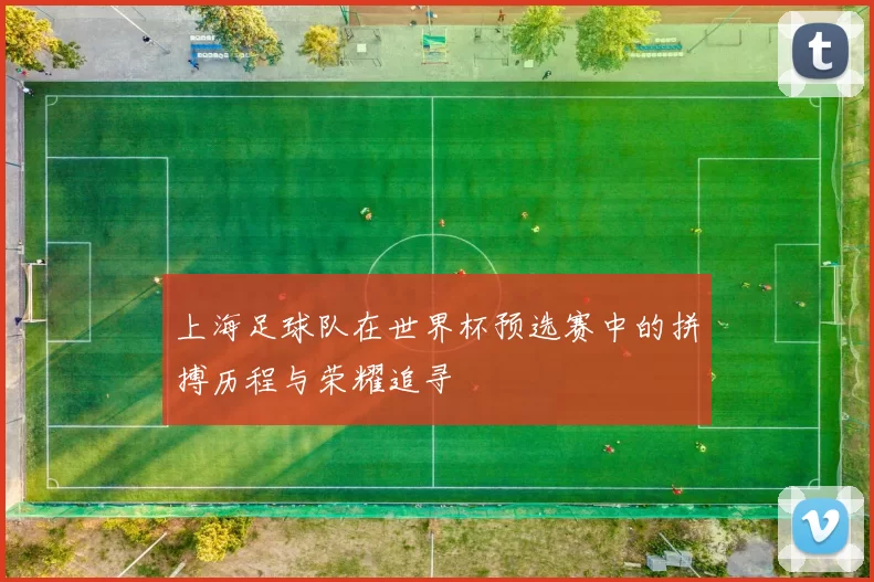 上海足球队在世界杯预选赛中的拼搏历程与荣耀追寻