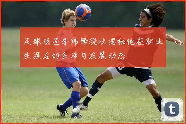 足球明星李玮锋现状揭秘他在职业生涯后的生活与发展动态
