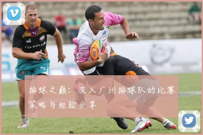 排球之巅：深入广州排球队的比赛策略与经验分享