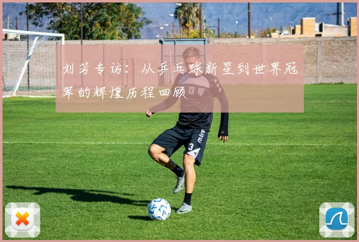 刘芳专访：从乒乓球新星到世界冠军的辉煌历程回顾