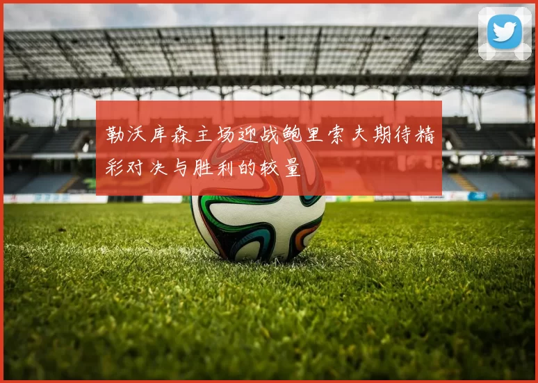 勒沃库森主场迎战鲍里索夫期待精彩对决与胜利的较量