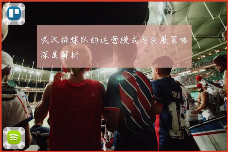 武汉排球队的运营模式与发展策略深度解析