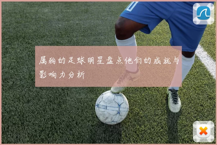 属狗的足球明星盘点他们的成就与影响力分析