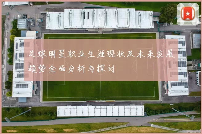 足球明星职业生涯现状及未来发展趋势全面分析与探讨