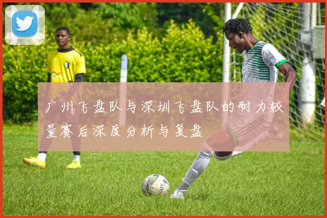 广州飞盘队与深圳飞盘队的耐力较量赛后深度分析与复盘