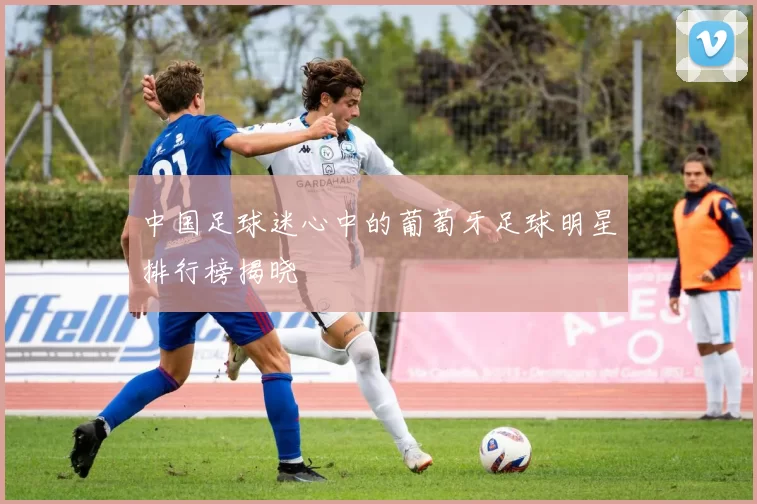 中国足球迷心中的葡萄牙足球明星排行榜揭晓
