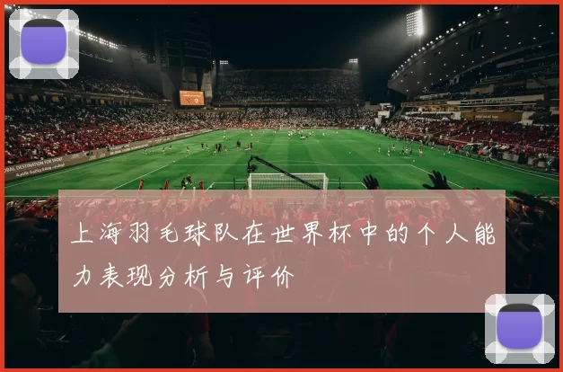 上海羽毛球队在世界杯中的个人能力表现分析与评价