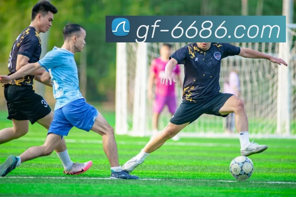 6686体育服务体系